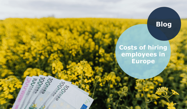 Costs of hiring European employees - Euros in a field of flowers